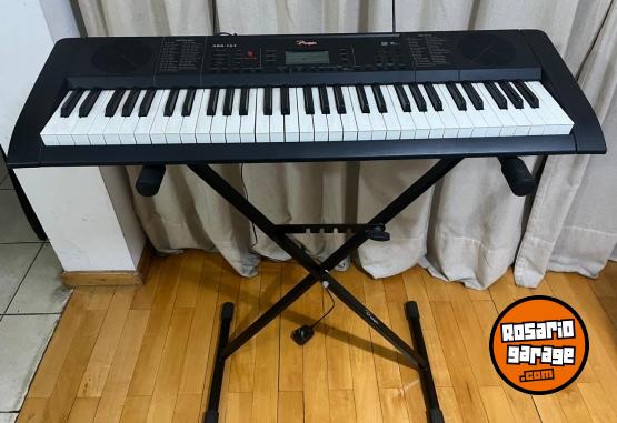 Instrumentos Musicales - Organo Parquer ARK163 - sin uso - En Venta