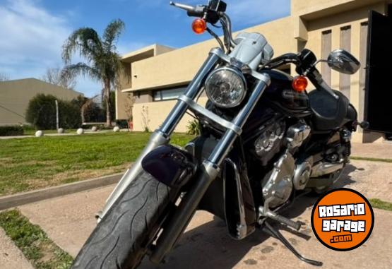 Motos - Harley Davidson V-ROD 1200 2005 Nafta 16000Km - En Venta