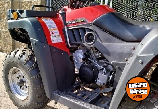 Motos - Zanella GFORCE 250 2023 Nafta 200Km - En Venta