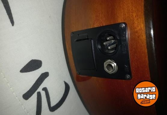 Instrumentos Musicales - Electrocriolla G.Shelter igual a nueva FLAMANTE - En Venta
