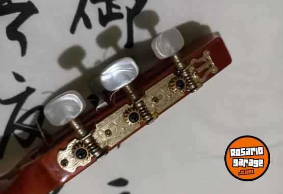 Instrumentos Musicales - Electrocriolla G.Shelter igual a nueva FLAMANTE - En Venta
