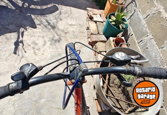 Deportes - Bicicleta Pianelli - En Venta