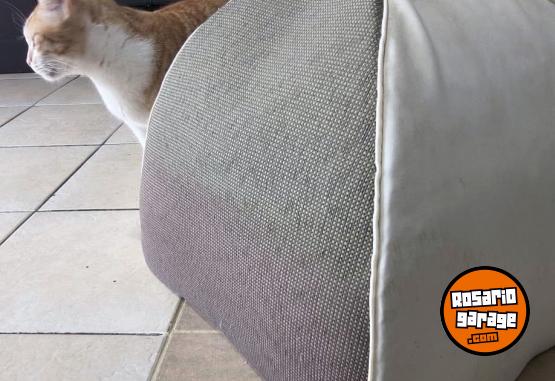 Hogar - Cama Para Gatos Medidas 45 X 45 Cm - En Venta