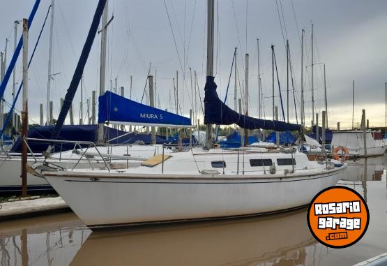 Embarcaciones - Velero Pandora 32 - En Venta