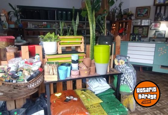 Otros - Fondo de comercio o Llave de Negocio. Liquido!!! Oportunidad! - En Venta