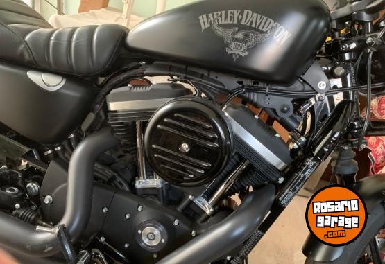 Motos - Harley Davidson Iron 883 2019 Nafta 13800Km - En Venta