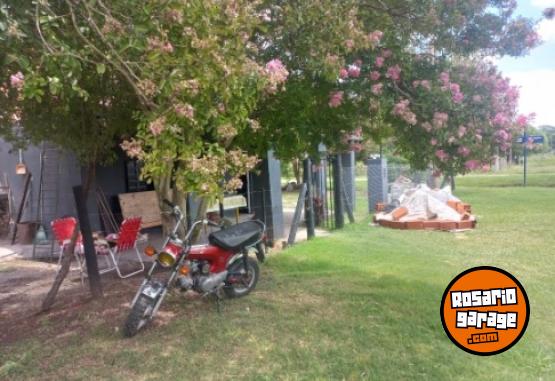 Motos - Honda Dax 1995 Nafta 26000Km - En Venta