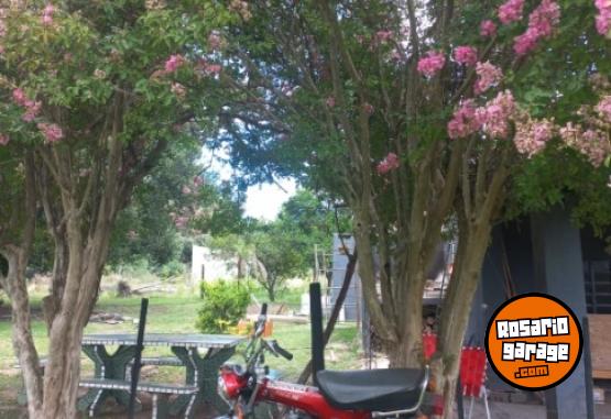 Motos - Honda Dax 1995 Nafta 26000Km - En Venta