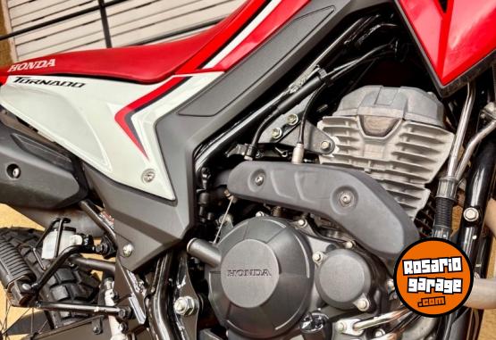 Motos - Honda Tornado 300 2025 Nafta 11000Km - En Venta