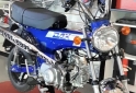 Motos - Mondial Dax 70cc 2022  0Km - En Venta
