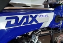 Motos - Mondial Dax 70cc 2022 Nafta 0Km - En Venta