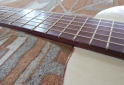Instrumentos Musicales - Guitarras de estudio superior Orellano - En Venta