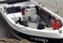 Embarcaciones - Traker 520 motor mercury 60 2 t 2017 - En Venta