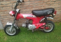 Motos - Honda Dax 1992 Nafta 52000Km - En Venta