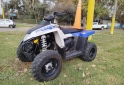 Cuatris y UTVs - Polaris Trail blazer automático 2014 GNC 4500Km - En Venta