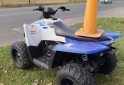 Cuatris y UTVs - Polaris Trail blazer automático 2014 GNC 4500Km - En Venta