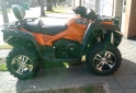 Cuatris y UTVs - CF Mountaineer 800 LTD 2021  2350Km - En Venta