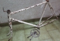 Deportes - cuadro de bicicleta italiano - En Venta