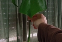 Hogar - macetas facetadas portamacetas plantines Monstera peruviana potus lemon - En Venta