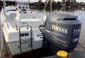 Embarcaciones - TRACKER 5'76 CON YAMAHA 115 (4 TIEMPOS) - PERMUTO C/TRAYLER - En Venta