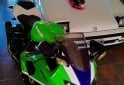 Motos - Kawasaki Zx 10 zx10 cbr R1 600 2008 Nafta 46000Km - En Venta