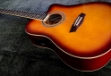 Instrumentos Musicales - Electroacústica Washburn WA90 - En Venta