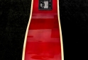 Instrumentos Musicales - Electroacústica Washburn WA90 - En Venta