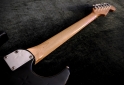 Instrumentos Musicales - Squier Stagemaster Standard Series - En Venta