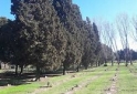 Otros - vendo parcela cementerio jardin Ibarlucea - En Venta