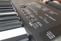 Instrumentos Musicales - Teclado Casio CTK 3200 - En Venta