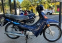 Motos - Motomel DLX 110 2024 Nafta 0Km - En Venta