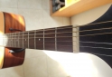 Instrumentos Musicales - Guitarra Samick GD 50 - En Venta
