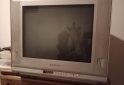 Hogar - TV Philco 21" pantalla plana - En Venta