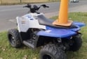 Cuatris y UTVs - Polaris Trail blazer automático 2013 Diesel 600Km - En Venta
