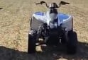 Cuatris y UTVs - Polaris Trail blazer automático 2013 Diesel 600Km - En Venta
