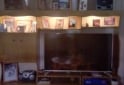Otros - SE VENDE MODULAR CON LUZ PARA TV DE 50 PULGADAS - En Venta