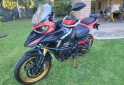 Motos - Qj Motor SRT800SX 2024 Nafta 9000Km - En Venta