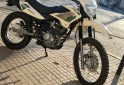 Motos - Motomel Skua 150 2024 Nafta 537Km - En Venta