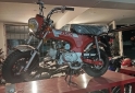 Motos - Mondial DAX 70 2025 Nafta 0Km - En Venta