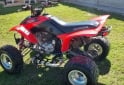 Cuatris y UTVs - Honda Trx 2006 111Km - En Venta