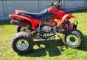 Cuatris y UTVs - Honda Trx 2006 111Km - En Venta