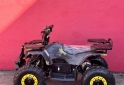 Cuatris y UTVs - Otra marca MINICUATRI HUNTER 800W 2026 Nafta 0Km - En Venta