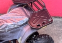 Cuatris y UTVs - Otra marca MINICUATRI HUNTER 800W 2026 Nafta 0Km - En Venta