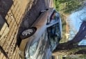 Autos - Ford Focus guia 2007 Diesel 233000Km - En Venta