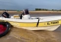 Embarcaciones - Tracker Cargo 520 + Mercury 50 HP 2 Tiempos. Año 2016 - En Venta