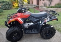 Cuatris y UTVs - Otra marca DVX PARRILLERO 2015  2850Km - En Venta