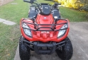 Cuatris y UTVs - Otra marca DVX PARRILLERO 2015  2850Km - En Venta