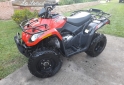 Cuatris y UTVs - Otra marca DVX PARRILLERO 2015  2850Km - En Venta