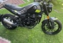 Motos - Benelli Leoncino 250 2024 Nafta 950Km - En Venta