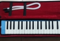 Instrumentos Musicales - Melodica - En Venta